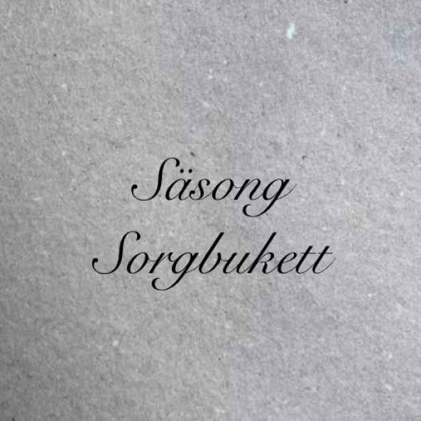 SBSäsong